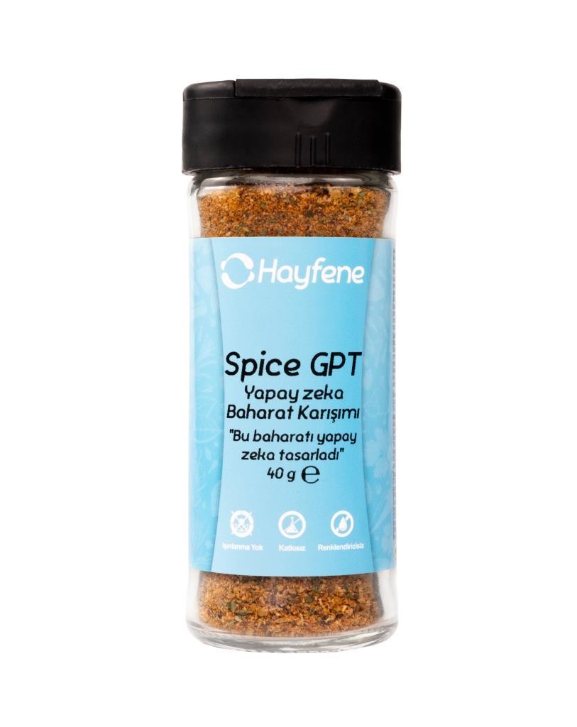 HAYFENE SPİCE GPT