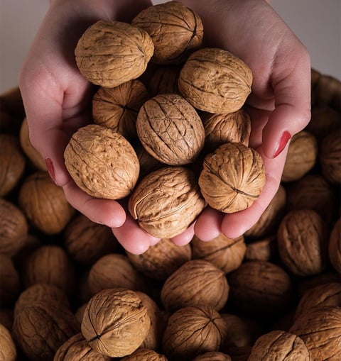 KABUKLU CEVİZ 1KG